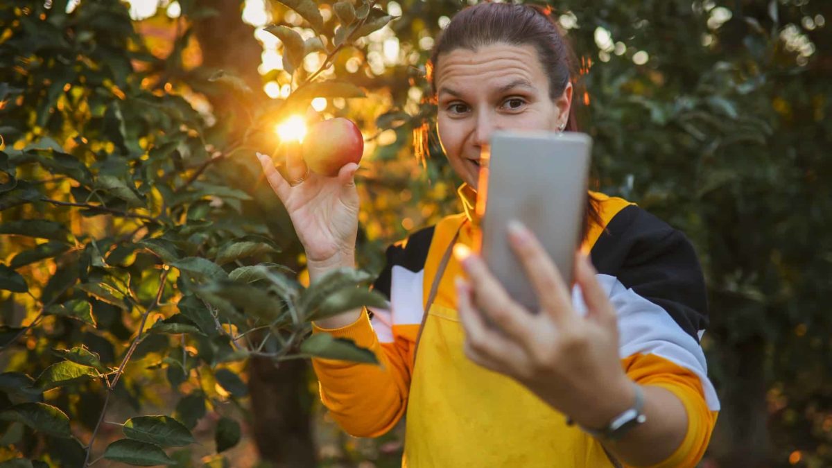 Female farmer having a video call and showing off the organic produce from the orchard.