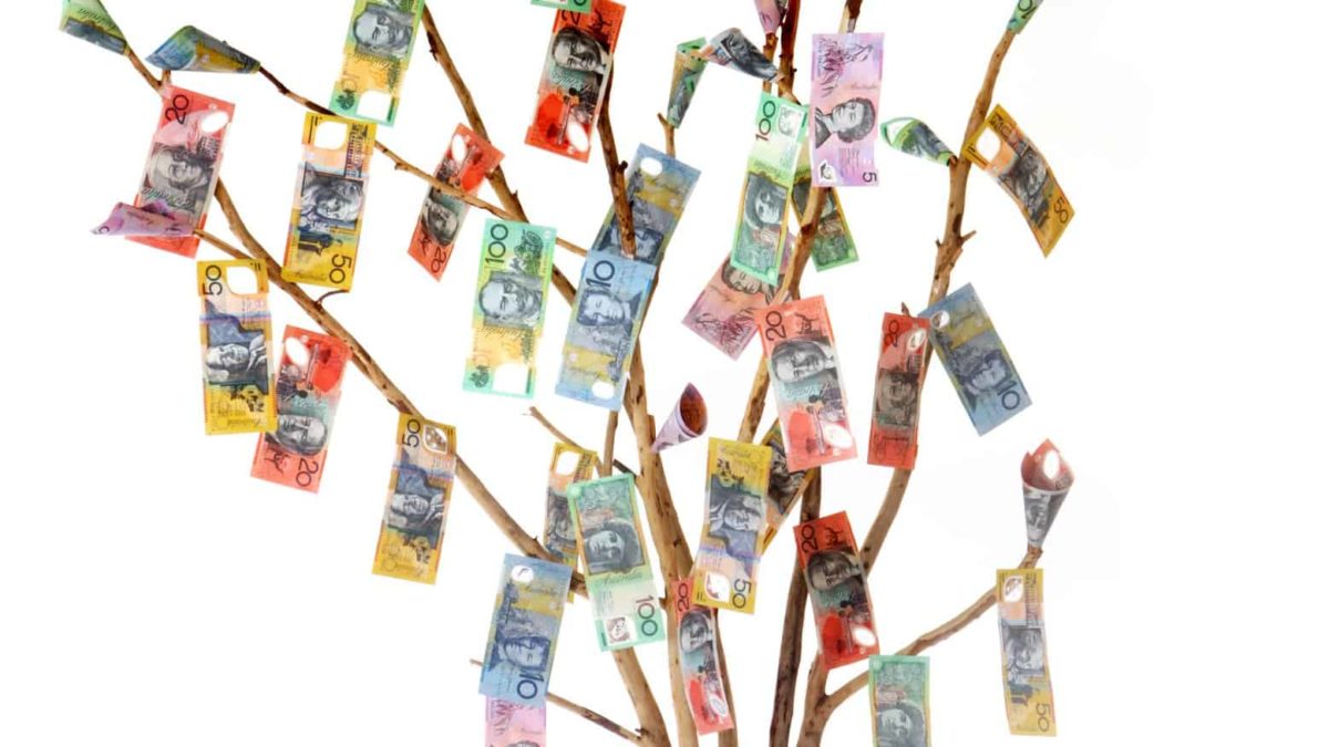 australian bank notes hanging from tree branches like leaves