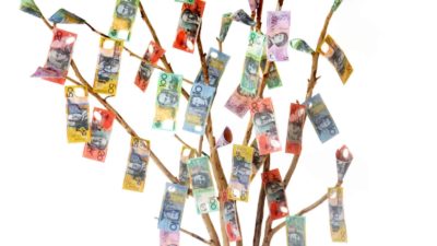 australian bank notes hanging from tree branches like leaves