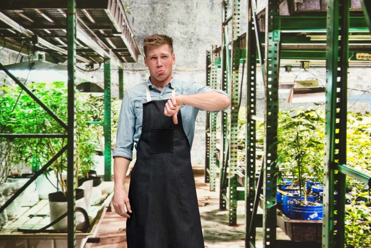 Man in a cannabis greenhouse looks unhappy and puts his thumb down.