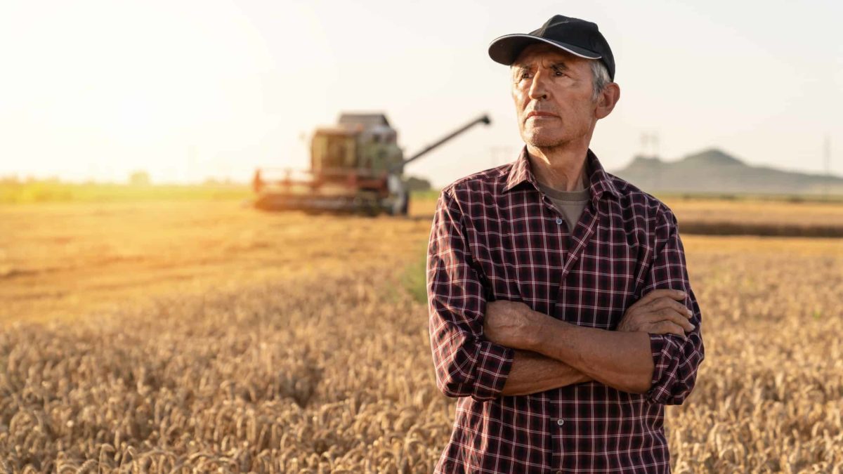 a wheat farmer stands with his arms crossed in a paddock of wheat ready for harvest with his header harvesting equipment operating in the background.