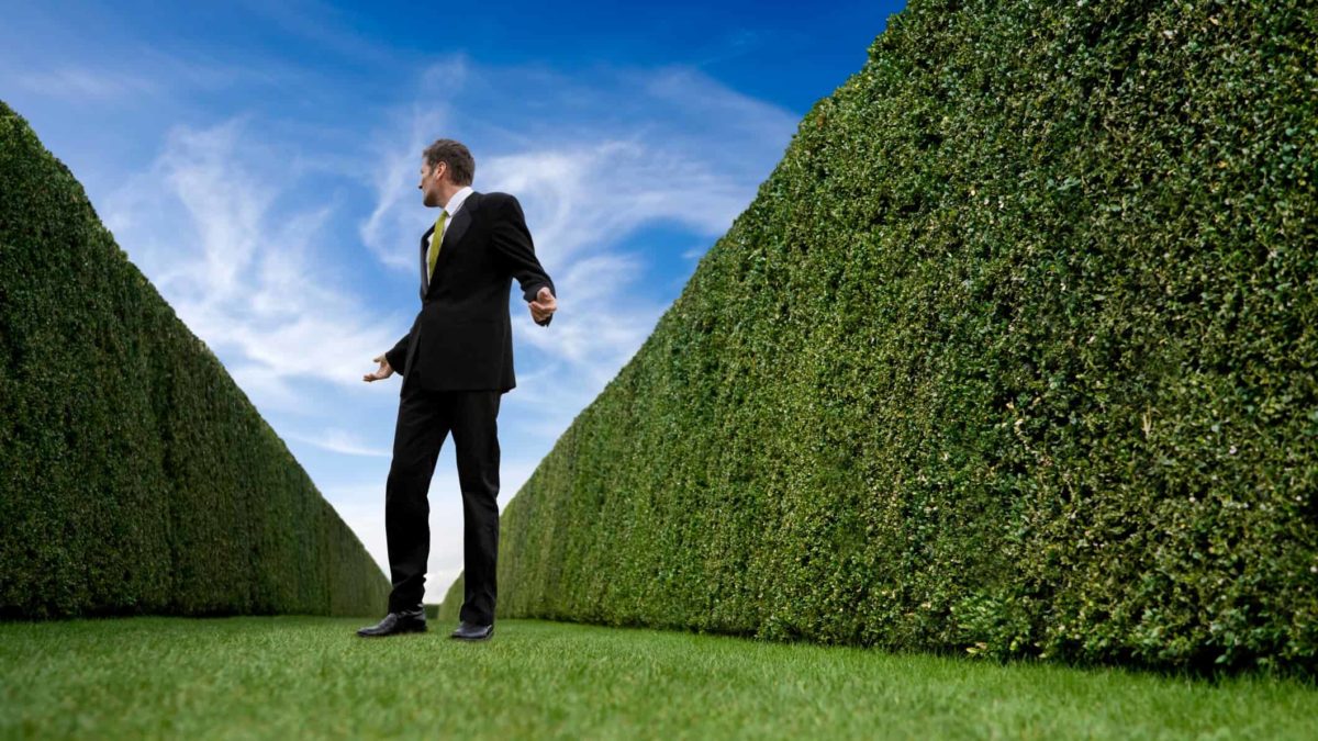 A businessman looks around uncertain as he walks through a tall hedge maze.