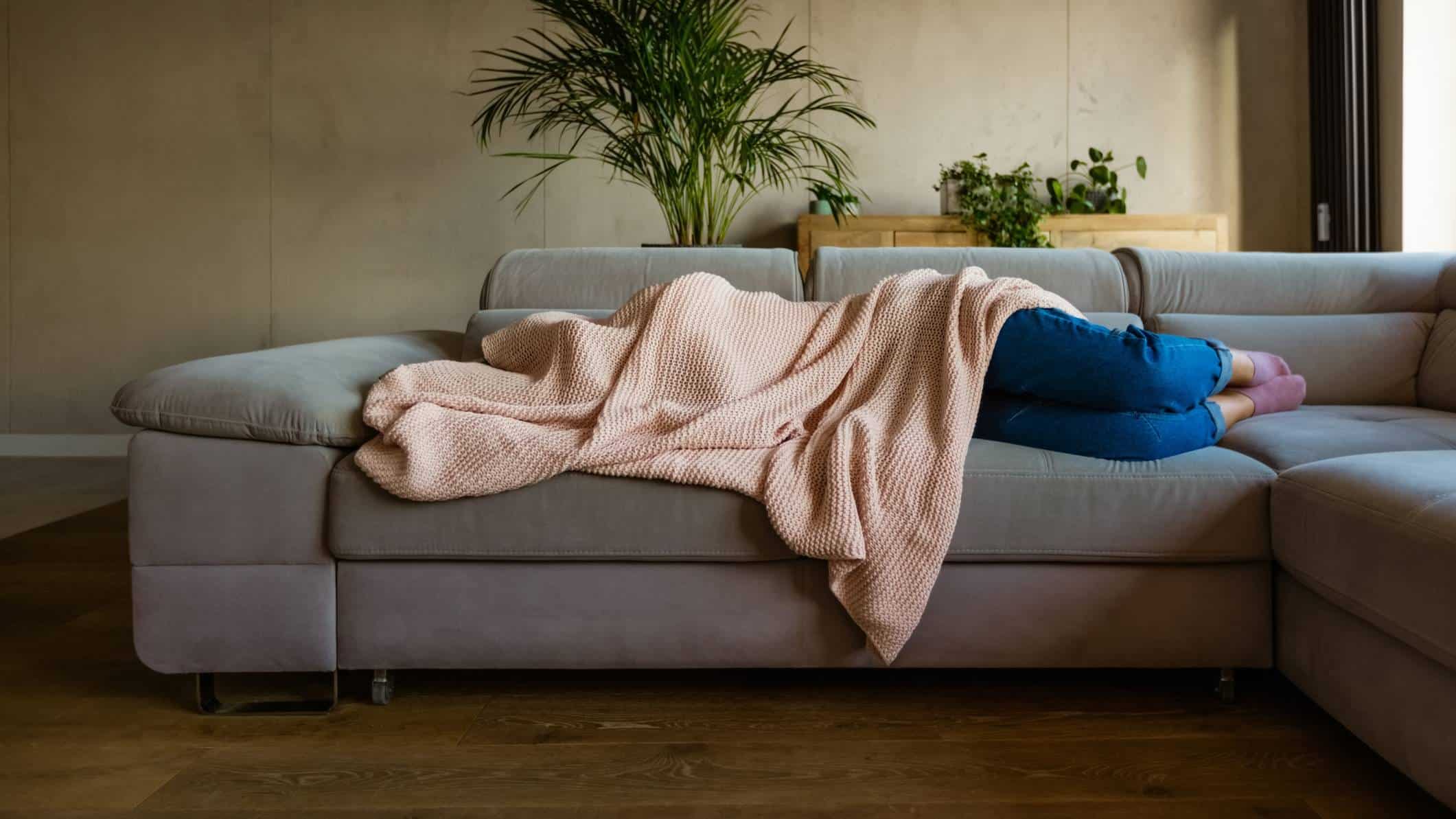 A young woman lies on her lounge with a pink blanket covering her face and the top half of her body as she hides away from seeing the Nick Scali share price fall today