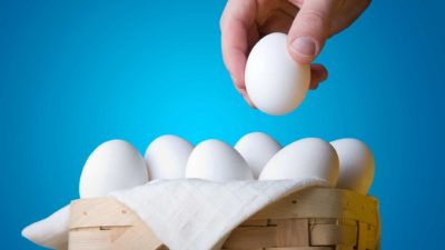 a man's hand places a white egg into a basket of similar white eggs.