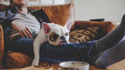 A man and his dog snooze on the couch