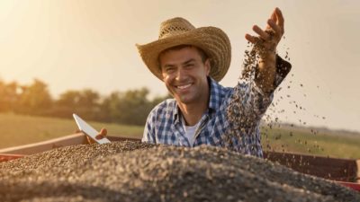 A happy farmers sifts his fingers through grain, indicating a good crop and higher prices