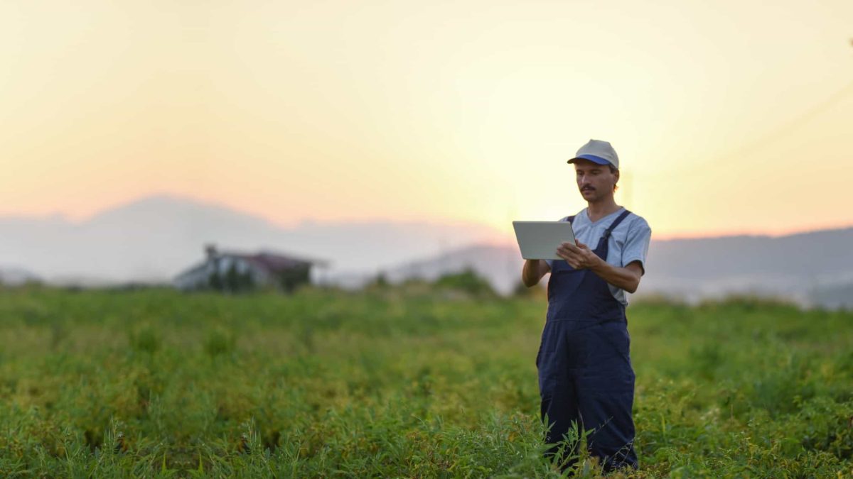 A farmer uses a digital device in a green field.
