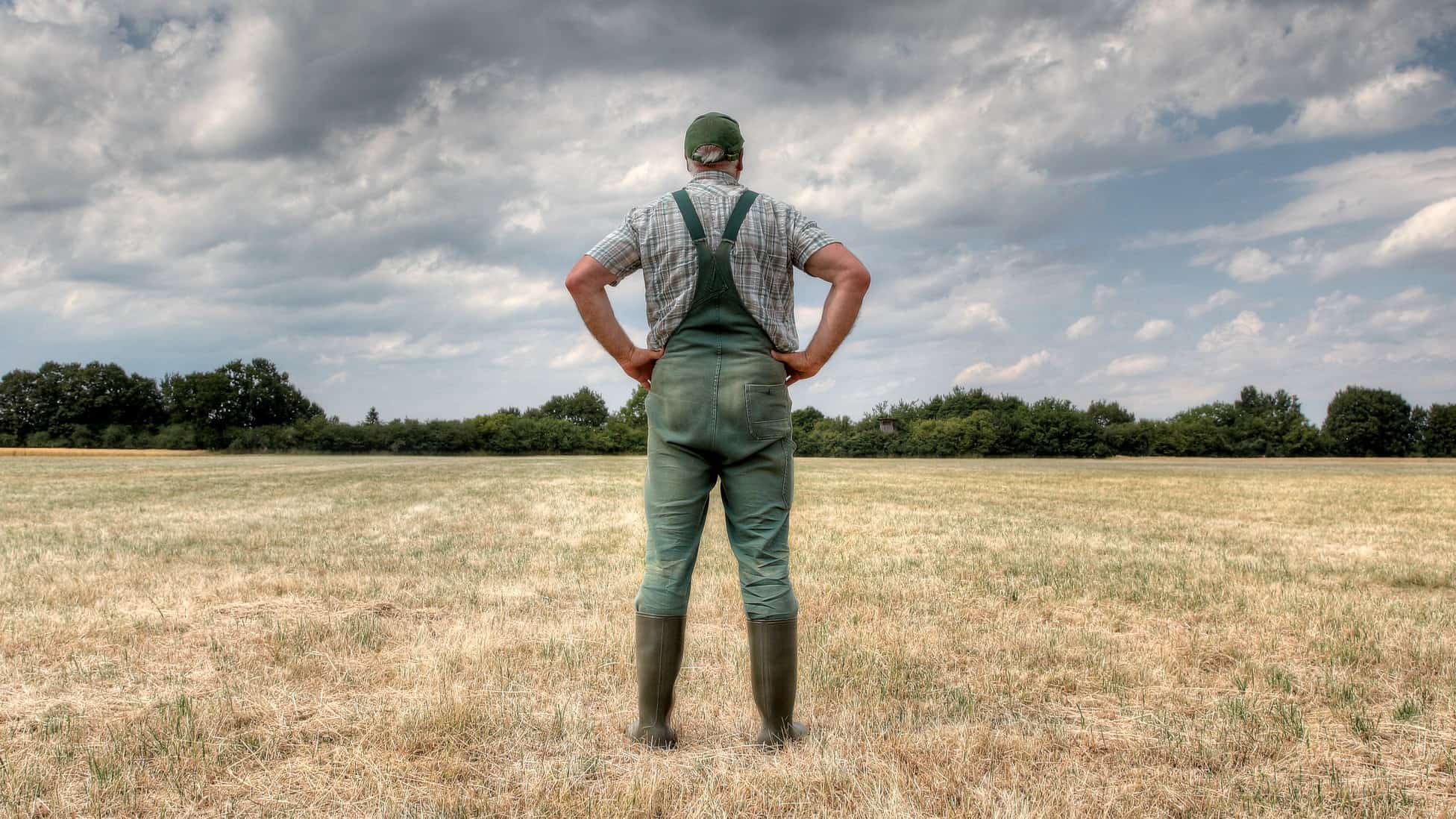 A farmer stands in a field of dry grass with hands on hips and looking to the sky for rain, waiting for the drought to end.
