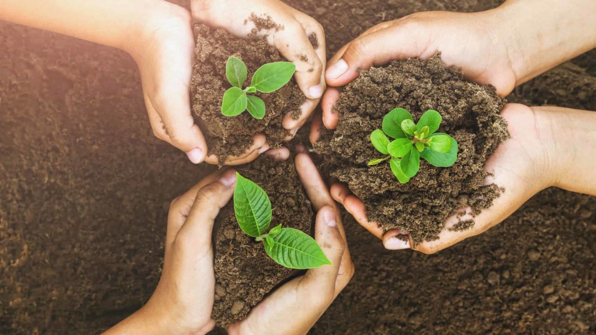 The hands of three people are cupped around soil holding three small seedling plants that are grouped together in the centre of the shot with the arms of the people extending into the edges of the picture representing ASX growth shares and it being a good time to buy for future gains
