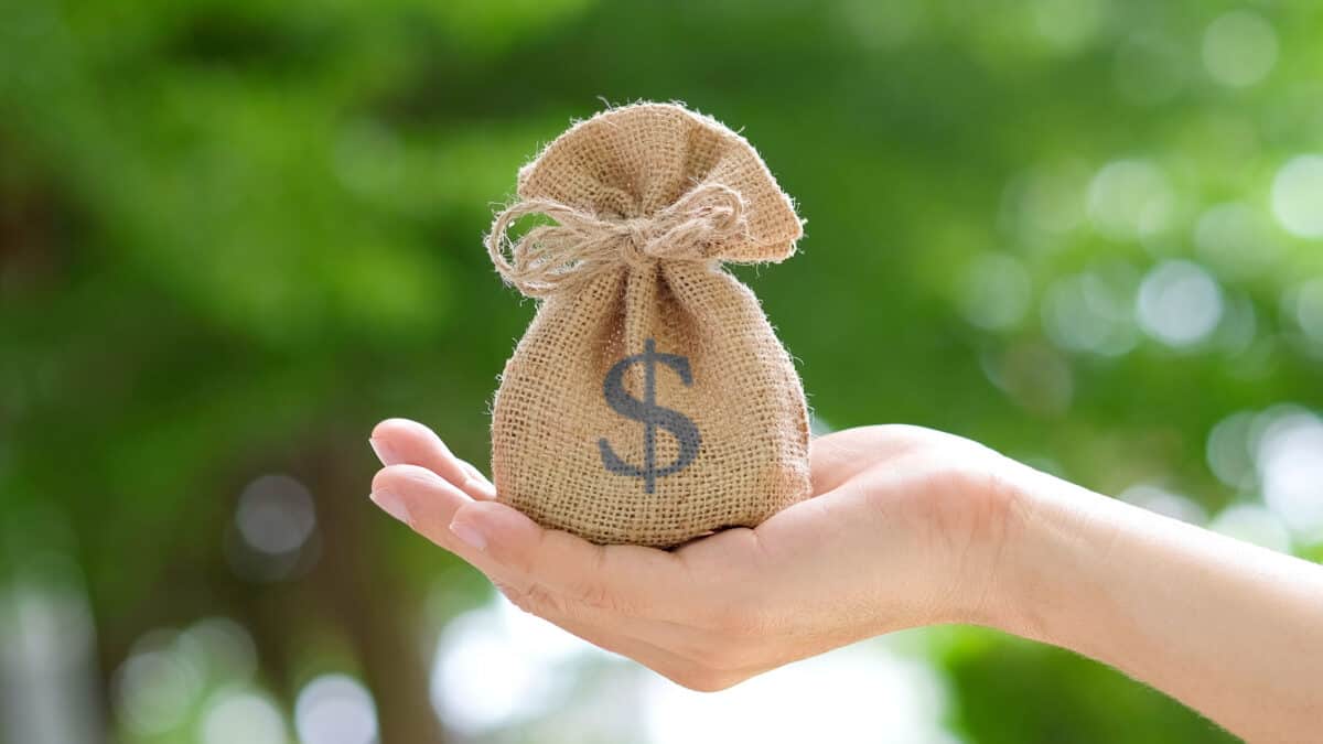 Hand of a woman carrying a bag of money, representing the concept of saving money or earning dividends.