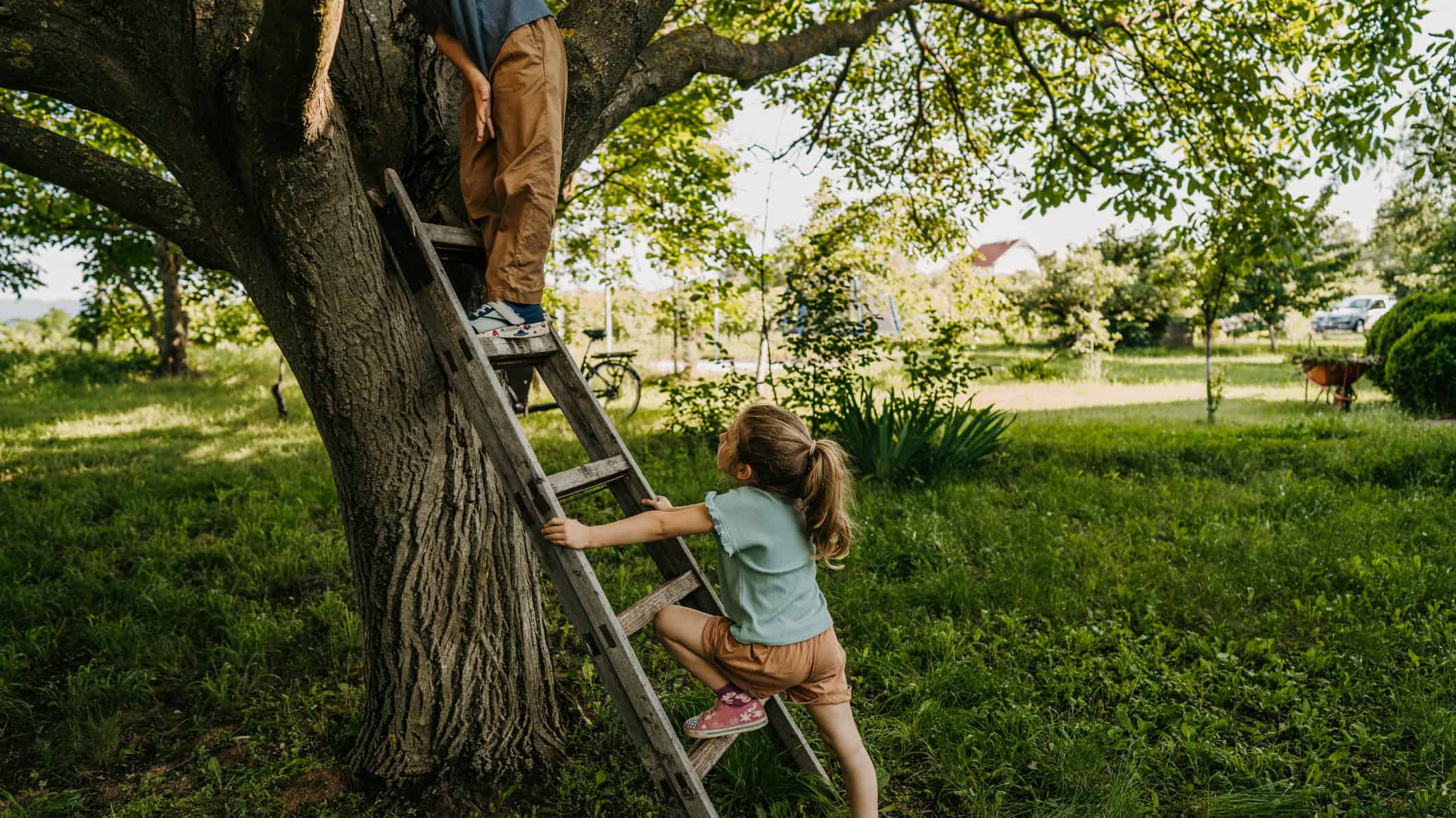 Little brother and sister climbing with ladder together on a tree outdoors.