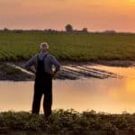 Senior farmer in overalls standing beside flood area on field.