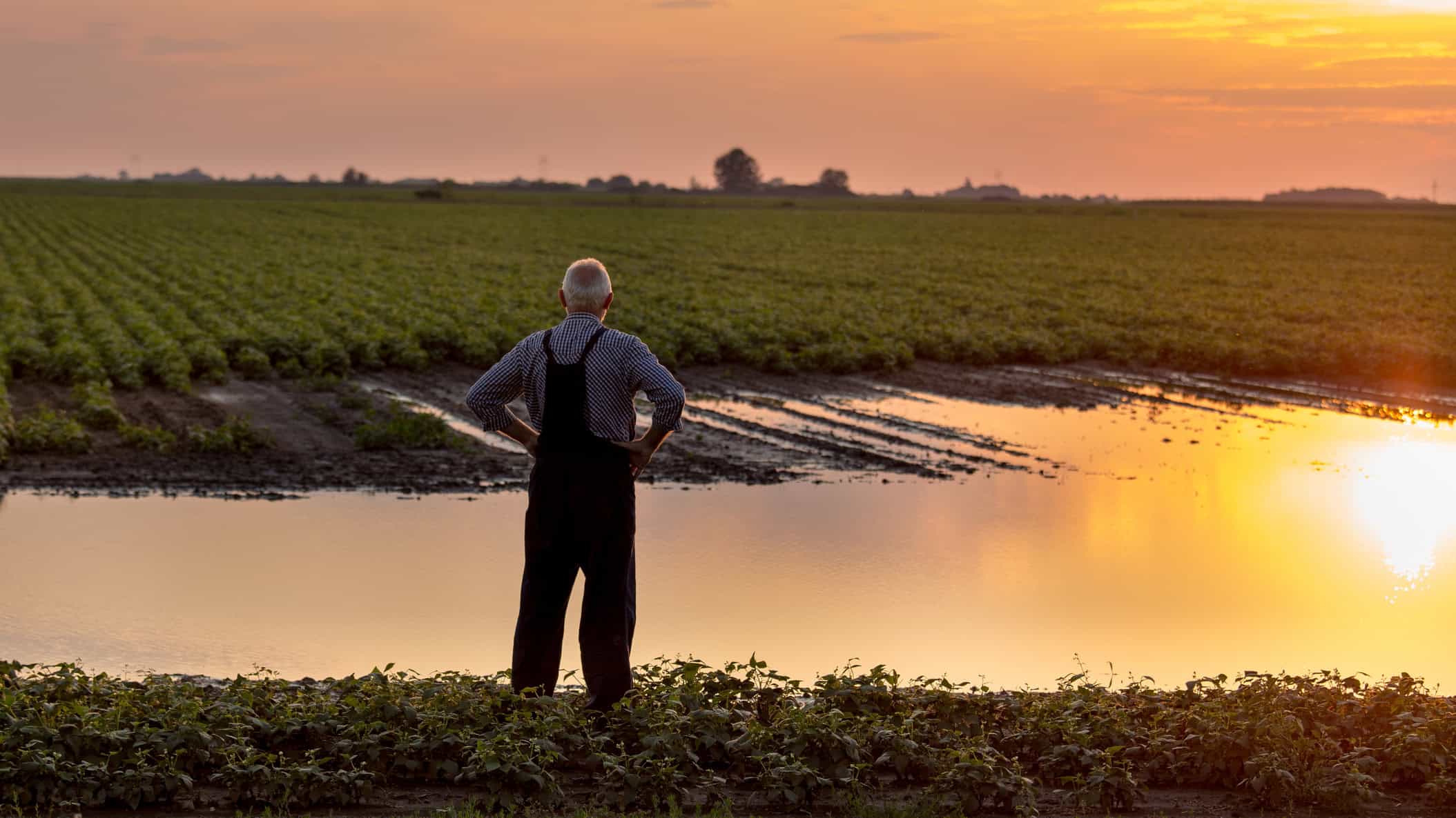 Senior farmer in overalls standing beside flood area on field.