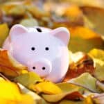 A pink piggybank sits in a pile of autumn leaves.