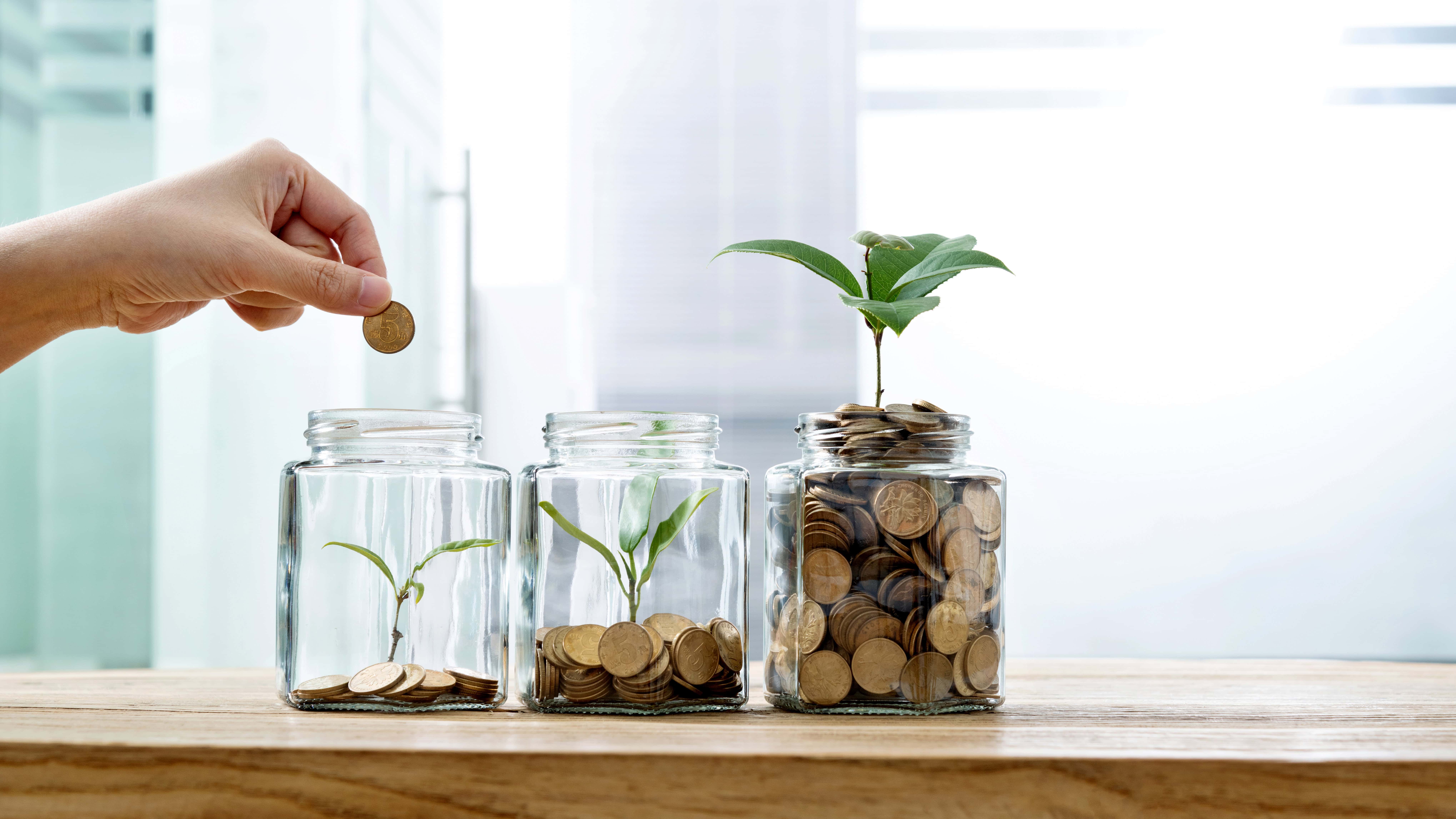 Ascending piles of coins and plants in three jars, with a hand putting a coin in the first jar.