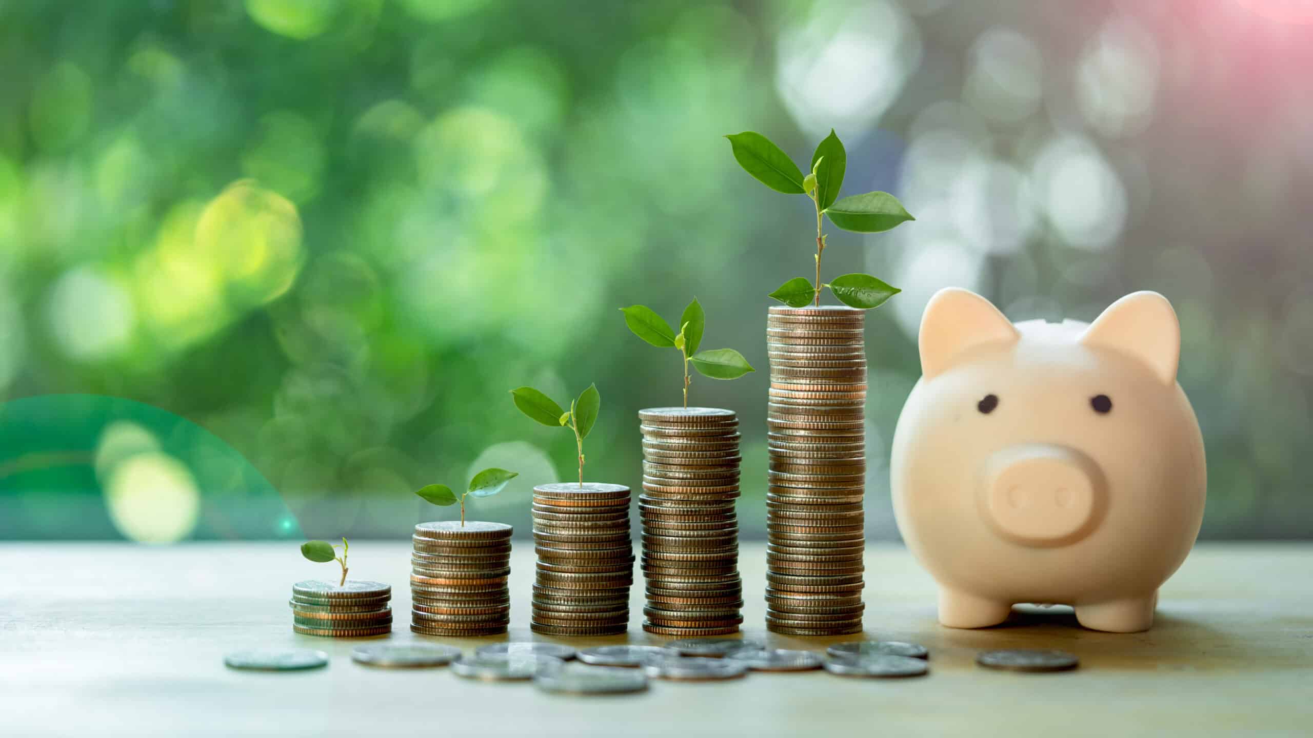 Stacks of coins in ascending order with a plant on top, next to a piggy bank.
