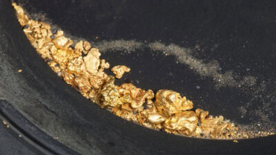 A group of gold nuggets.