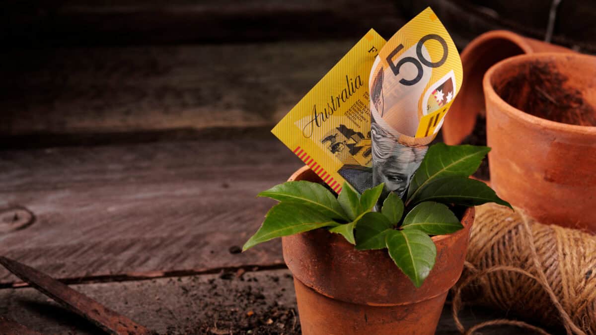 $50 Australian dollar note on top of a plant pot.