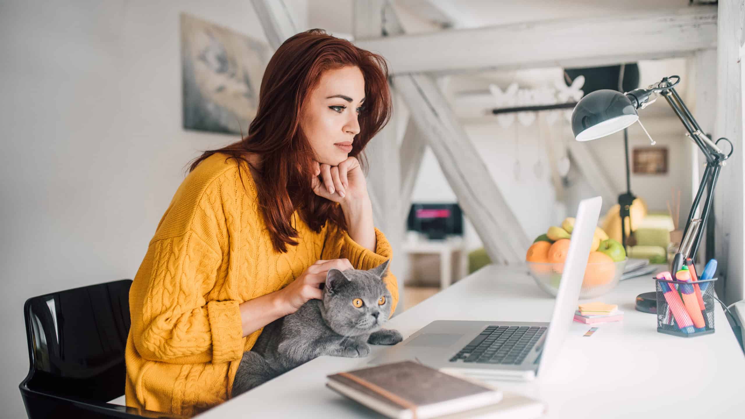 Woman with her kitten on a laptop in her home office.