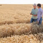Two men standing with a tablet at a grain farm.