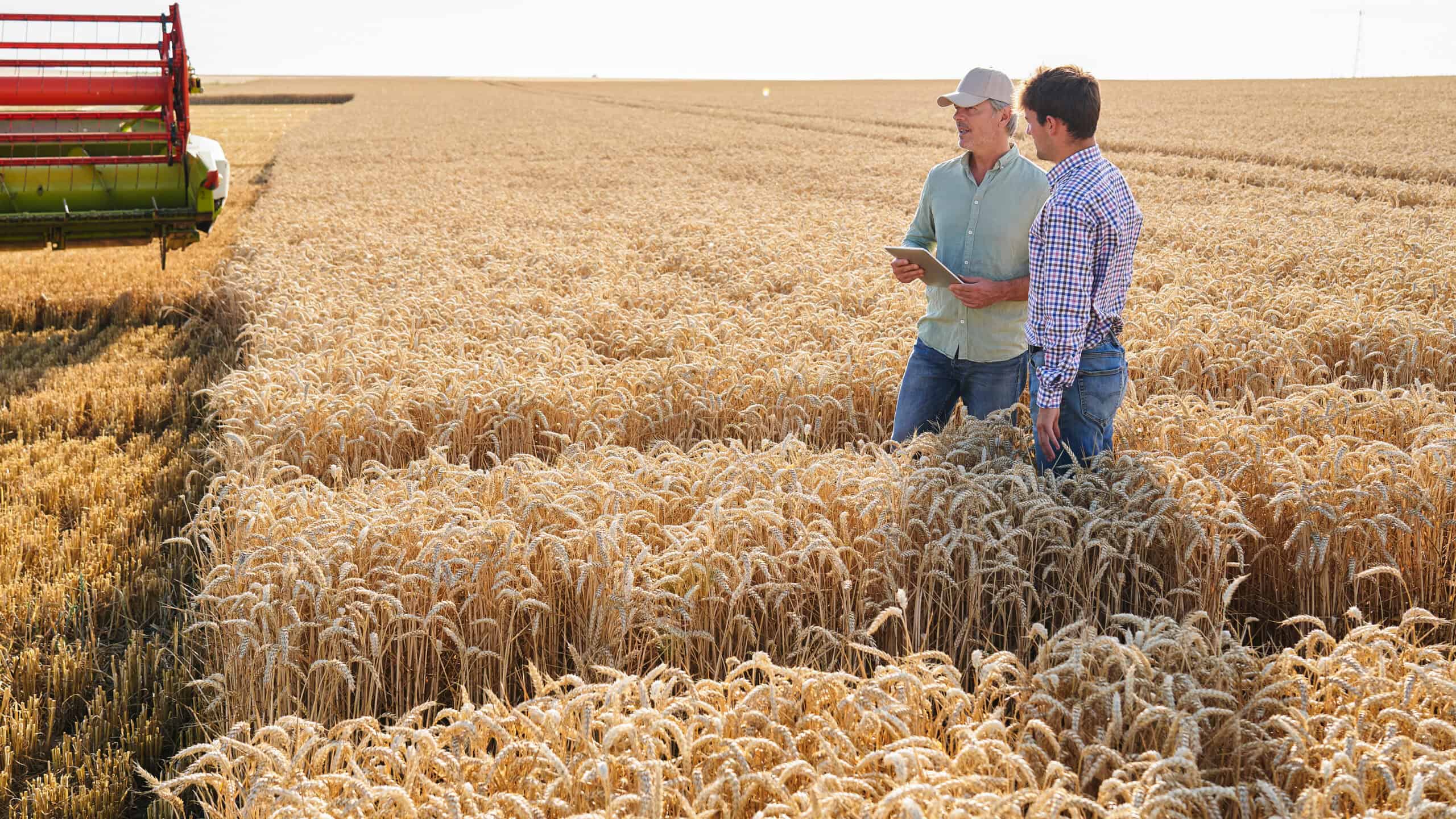 Two men standing with a tablet at a grain farm.